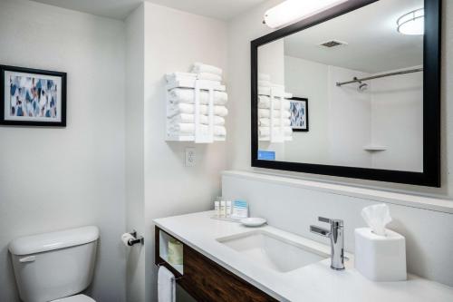 a white bathroom with a sink and a mirror at Hampton Inn & Suites Opelika-I-85 Auburn Area in Opelika
