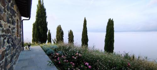 Gallery image of Casa al Maestro B&B in Radicofani