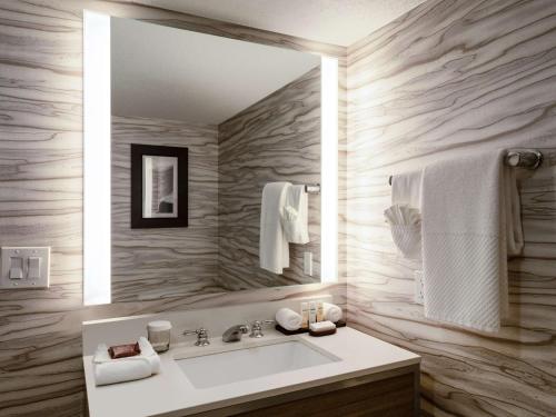 a bathroom with a sink and a mirror at Embassy Suites Baltimore - North/Hunt Valley in Hunt Valley