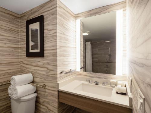a bathroom with a sink and a toilet and a mirror at Embassy Suites Baltimore - North/Hunt Valley in Hunt Valley