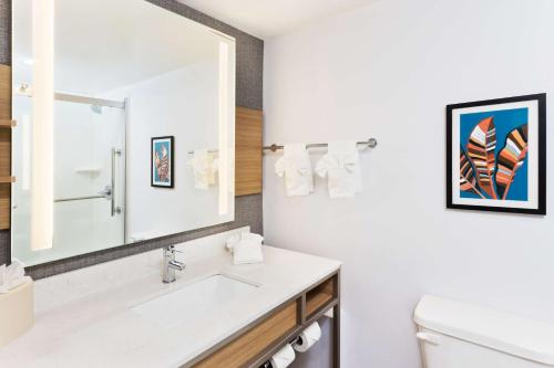 Hilton Garden Inn Birmingham/Lakeshore Drive tesisinde bir banyo