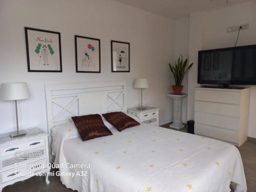 1 dormitorio con 1 cama y TV de pantalla plana en Habitación en casa moderna con jardín, en Santa Cruz de Bezana