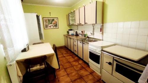 a small kitchen with green walls and white appliances at Kuća za odmor Proljeće in Ðakovo