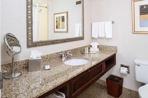 a bathroom with a sink and a toilet at DoubleTree by Hilton Boston-Milford in Milford