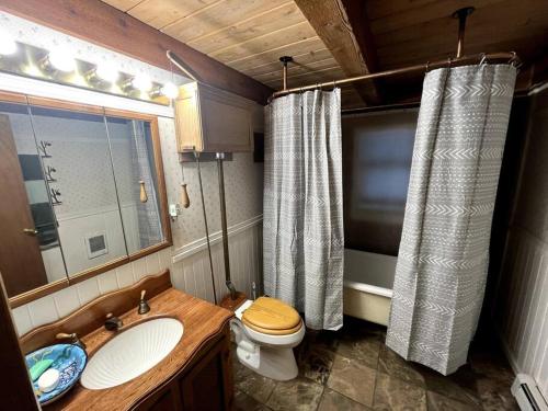 een badkamer met een toilet, een wastafel en een spiegel bij 3-Level Log Cabin near Silverwood - Tranquil in Spirit Lake