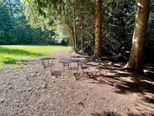 a picnic table and chairs on a dirt ground with trees at Multi-Level Forest Lodge Near Silverwood with Vintage Ice Cream Parlor & Movie Theater in Spirit Lake