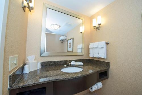 a bathroom with a sink and a large mirror at Hilton Garden Inn Columbia/Northeast in Columbia
