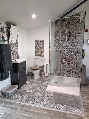 a bathroom with a shower and a toilet at Shed Loft apartment in Longford