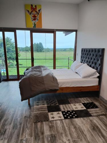 a bedroom with a bed and a large window at Shed Loft apartment in Longford