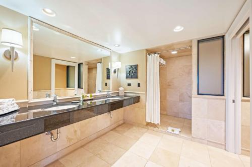 y baño con lavabo grande y ducha. en Hilton Suites Chicago/Oakbrook Terrace en Oakbrook Terrace