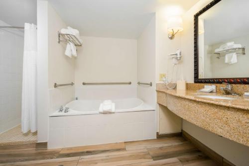 a bathroom with a tub and a sink and a mirror at Hilton Garden Inn Charlottesville in Charlottesville