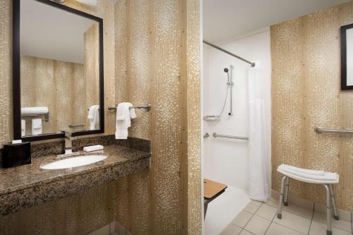 穆爾斯維爾的住宿－摩爾斯維爾/夏洛特希爾頓花園酒店，一间带水槽、镜子和淋浴的浴室