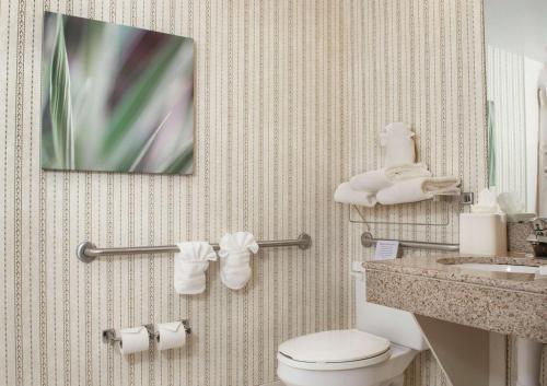 bagno con servizi igienici e TV a parete di Hilton Garden Inn Charlotte Pineville a Charlotte