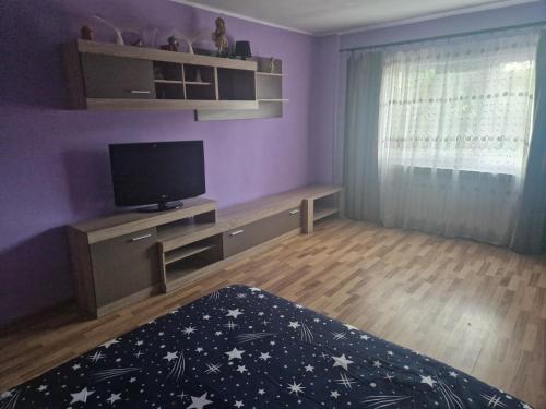 a living room with a tv and a purple wall at Stefan in Călimăneşti