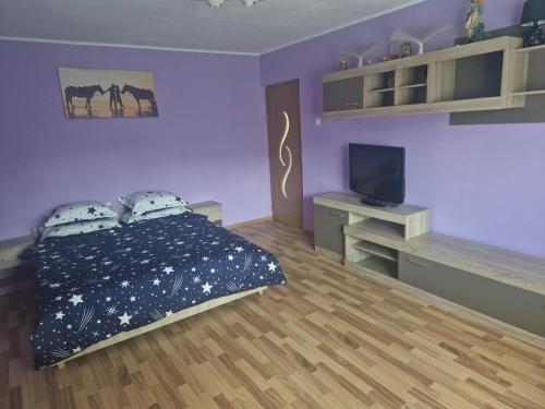 a bedroom with a bed and a desk with a tv at Stefan in Călimăneşti