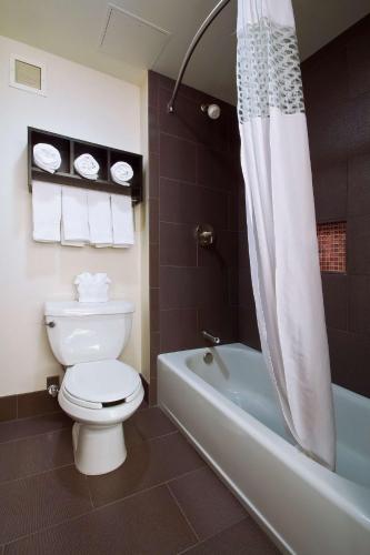 a bathroom with a toilet and a tub with a shower at Hampton Inn & Suites Columbus-Downtown, Ohio in Columbus