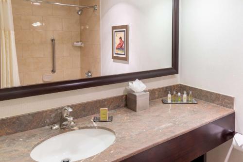 a bathroom with a sink with a shower and a mirror at DoubleTree Suites by Hilton Hotel Columbus Downtown in Columbus
