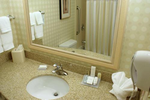 a bathroom with a sink and a mirror at Hilton Garden Inn Colorado Springs Airport in Colorado Springs