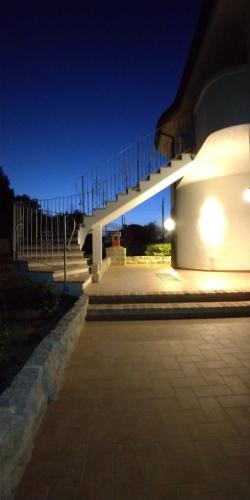 B&B Bene Bennios IUN F1441