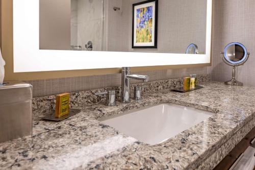 baño con lavabo grande y espejo en DoubleTree by Hilton Dallas-Farmers Branch, en Farmers Branch