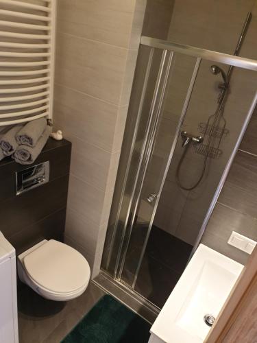 a bathroom with a shower with a toilet and a sink at Apartament Centrum przy Wiśle, Żydowska dzielnica in Krakow