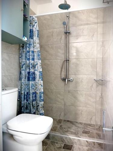 a bathroom with a toilet and a shower at Duka's Gardenhouse in Skopelos Town