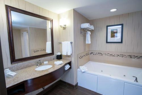 y baño con bañera, lavabo y espejo. en Hilton Garden Inn Dayton South - Austin Landing, en Springboro