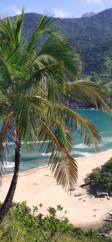 a palm tree on a beach with the ocean at Pousada da Rosa in Ilhabela