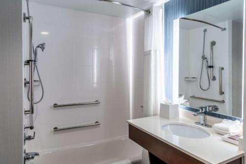 een badkamer met een wastafel, een bad en een douche bij Hilton Garden Inn Arlington/Courthouse Plaza in Arlington