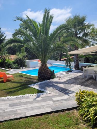 un palmier installé à côté d'une piscine dans l'établissement une maison rien que pour vous avec piscine chauffée, à Mouguerre