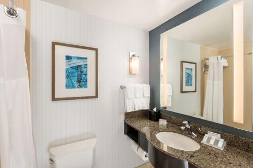 een badkamer met een toilet, een wastafel en een spiegel bij Hilton Garden Inn Silver Spring White Oak in Silver Spring
