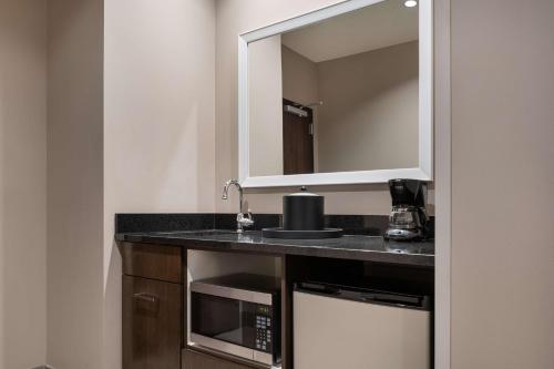 a bathroom with a sink and a mirror at Hampton Inn & Suites Denver Downtown Convention Center in Denver