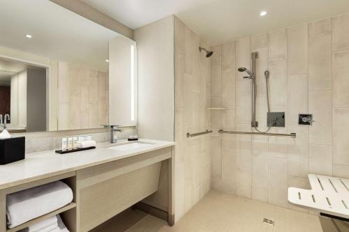 uma casa de banho com um lavatório e um chuveiro em Embassy Suites by Hilton Denver International Airport em Denver