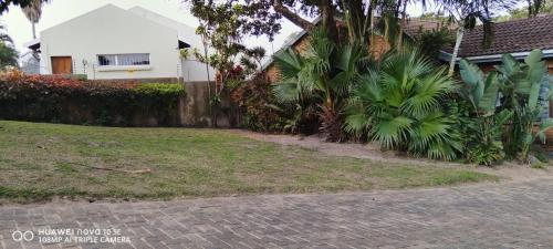 Κήπος έξω από το Sthembile's guest house