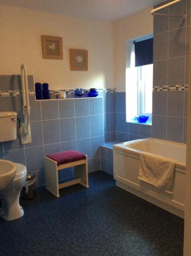 a bathroom with a tub and a toilet and a sink at The Old Grain Store Bed & Breakfast in Pidley