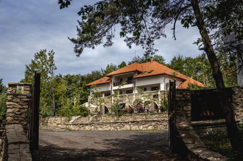 a house behind a stone fence with a gate at Cetatuia in Măgura