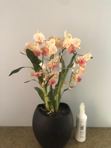 a black vase filled with pink flowers next to a bottle of soap at Emabheni Self Catering in Langstrand
