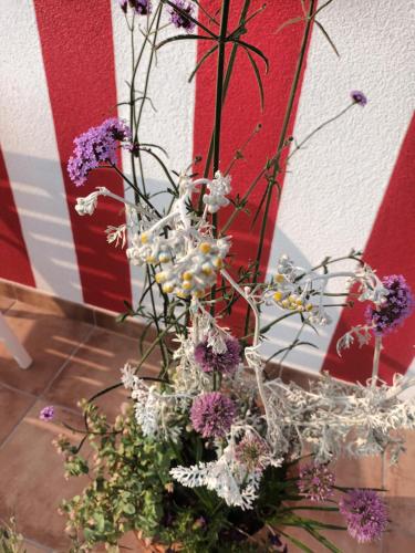 a vase filled with flowers in front of a wall at Casiña Palmira in Finisterre