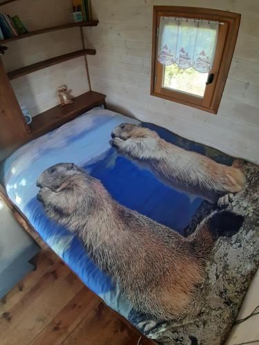drei Tiere auf einem Bett in einem Zimmer in der Unterkunft Roulotte La Marmotte in Poinson-lès-Fays