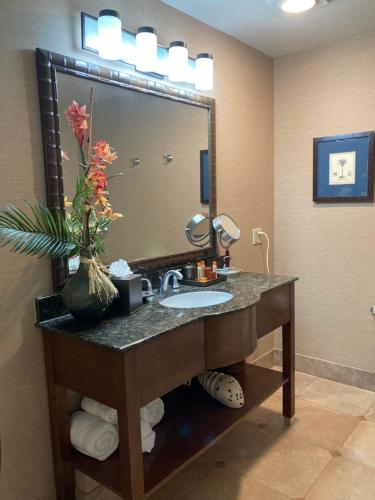 a bathroom with a sink and a large mirror at Blue Dolphin Inn in Cambria