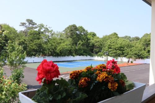 a pot of flowers on a balcony with a basketball court at Sunbird Cape Cod Resort in West Yarmouth