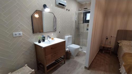 een badkamer met een wastafel, een toilet en een spiegel bij La Casa de Abajo in Arroyomolinos de la Vera