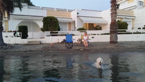 a woman and a dog in the water at MARIA'S DREAM HOUSE in Eretria
