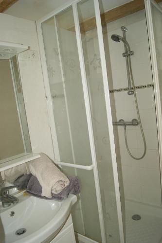 une salle de bain avec douche et lavabo dans l'établissement Studio avec piscine, à Corbère