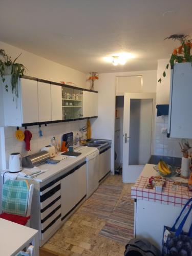 Kuchyň nebo kuchyňský kout v ubytování Apartment Jarun Comfort