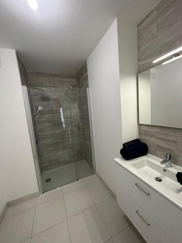 a white bathroom with a shower and a sink at L'Aumonerie in Angers