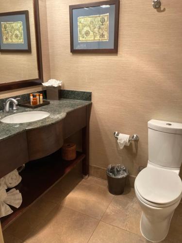 a bathroom with a toilet and a sink and a mirror at Blue Dolphin Inn in Cambria