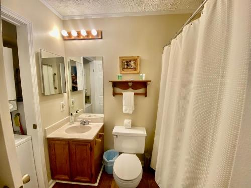 uma casa de banho com um WC e um lavatório em APPresSki - 5 bed Ski in Ski out - 50 Steps to Ski Sugar Mountain Slopes em Sugar Mountain