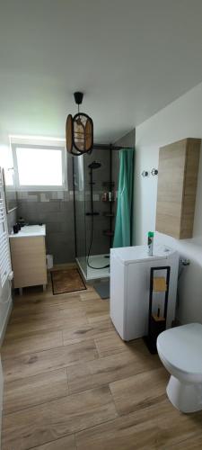 La salle de bains est pourvue d'une douche, de toilettes et d'un lavabo. dans l'établissement Les Geais Bleus, à Royan