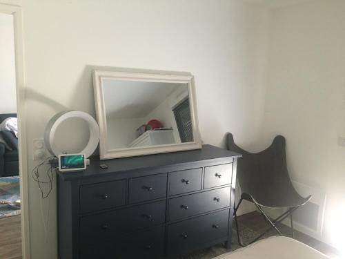 - un miroir au-dessus d'une commode dans une chambre dans l'établissement Jolie 2 pièces confortable, à Ballainvilliers